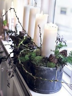 some candles are sitting in a potted plant