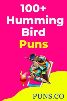 a poster with the words'100 + humming bird puns'in yellow and pink