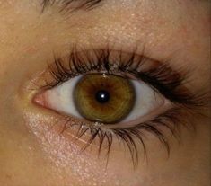 Hazle Eyes, Honey Eyes Color, Honey Eyes, Hazel Green, Amber Eyes, Makeup Accesories, Eye Photography