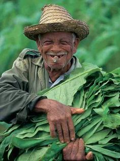 an old man is holding some green leaves in his hands and smiling at the camera