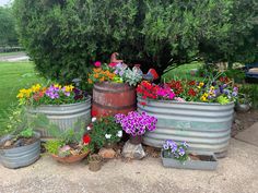 an assortment of potted plants and flowers on the ground