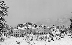 snow covered trees in front of a large building