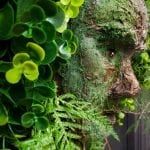 a man's face surrounded by green plants