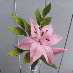 a pink flower with green leaves in a vase