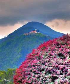 the mountain is covered in pink and purple flowers with a church on it's top