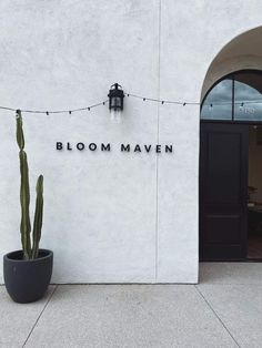 the front entrance to bloom maven with a cactus in a planter next to it