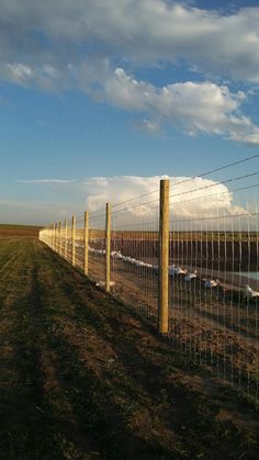 a long fence is next to a dirt road in the middle of an open field