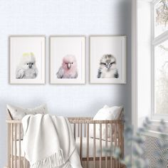 three framed pictures hang on the wall above a crib