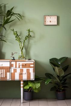 two potted plants sitting on top of a wooden table next to a green wall