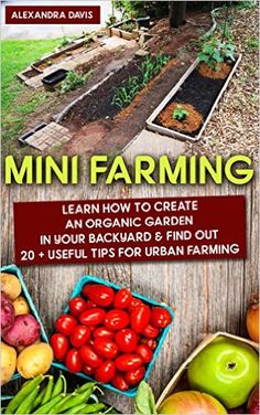 the front cover of mini farming learn how to create an organic garden in your backyard and find out 20 useful tips for urban farming