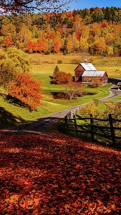 a farm surrounded by fall foliage in the country with a barn and autumn leaves on the ground