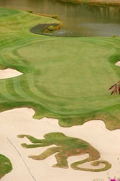 an aerial view of a golf course with water in the background