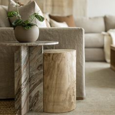 a living room with a couch, chair and table that has a potted plant on it