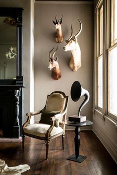 three deer heads mounted on the wall above a chair in front of a mirror and window