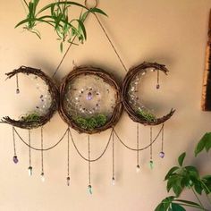 three glass orbs hanging on a wall next to a potted plant