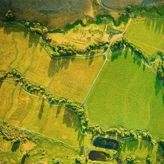 an aerial view of green fields and trees