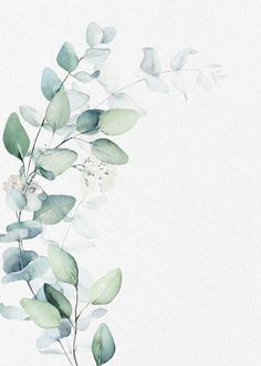 watercolor painting of green leaves and white flowers on a white background with space for text