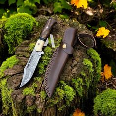 two knives sitting on top of a moss covered tree stump next to eachother