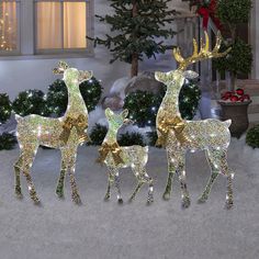 three lighted reindeer statues in front of a house