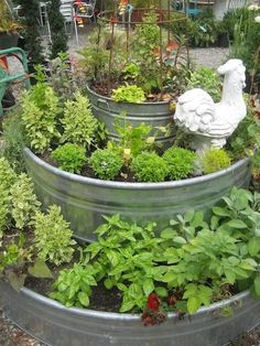 several metal containers filled with different types of plants