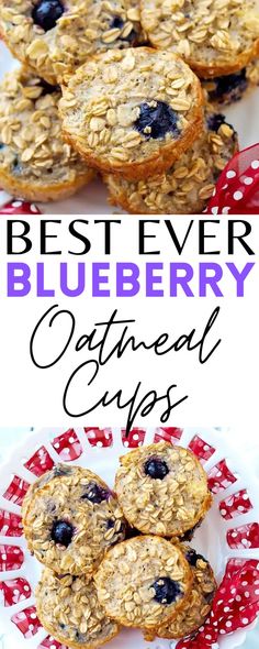 blueberry oatmeal cups on a red and white plate with the words best ever