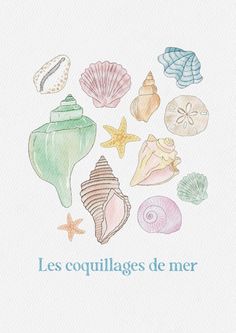 watercolor painting of seashells and shells with the words les coquillages de mer