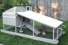 a chicken coop with two chickens in it