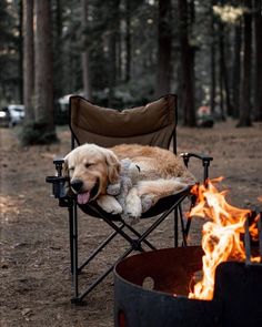 a dog laying in a chair next to a campfire