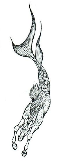 a black and white drawing of a mermaid with her tail curled up in the air