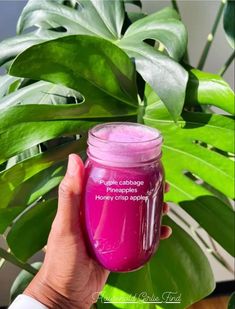 a person holding a pink glass jar in front of a plant with the words purple cabbage on it