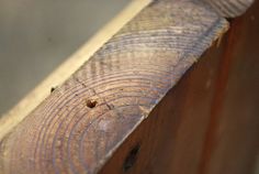 a piece of wood that has been cut in half