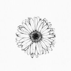 a black and white drawing of a flower