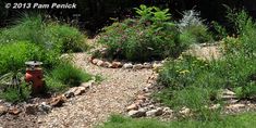 a garden filled with lots of plants and rocks