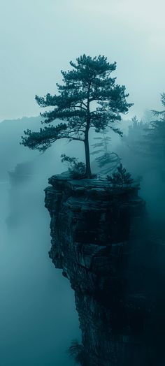 a lone tree sitting on top of a cliff in the middle of foggy water