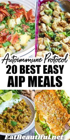 Aip Recipes Dinner, Aip Recipes Autoimmune Protocol, Autoimmune Diet Recipes, Aip Meals, Aip Breakfast