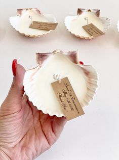 a person holding some seashells with tags on them in front of other shells