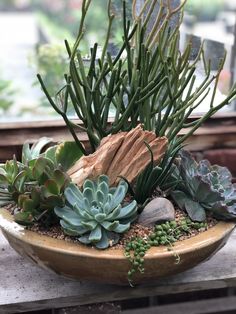 a potted plant with succulents and rocks sits on a wooden table