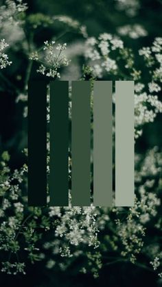 some white flowers and green bars in the background with blurry lines on it's side