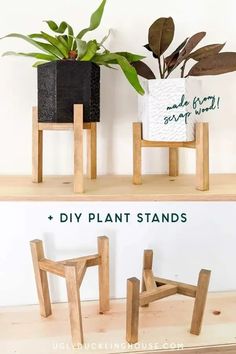 two wooden plant stands with plants in them and the words diy plant stands below