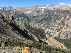 the mountains are covered in snow and green plants with yellow flowers on each one side