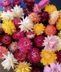 a bunch of colorful flowers sitting on top of a table