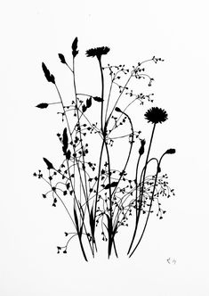 black and white photograph of flowers against a white background