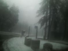 a foggy street with trees and signs in the distance on a snowy day,