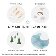 an info sheet describing the benefits of vegan for one day and save on earth