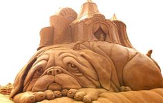 a sand castle made to look like a dog