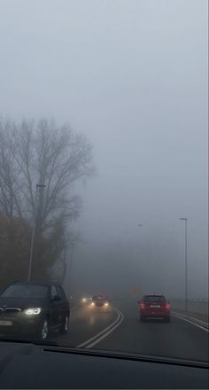 cars driving on a road in the fog