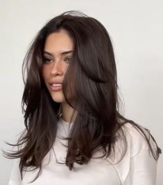 Dark Brunette Hair, Brown Hair Looks, Brown Hair Inspo, Layered Haircuts For Medium Hair, Hairstyles For Layered Hair, Haircuts For Medium Hair, Haircuts Straight Hair, Haircuts For Long Hair