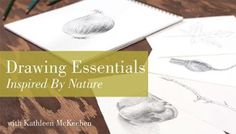 drawing essentials inspired by nature