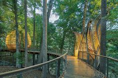 a wooden walkway in the middle of a forest with trees on both sides and lights at the end