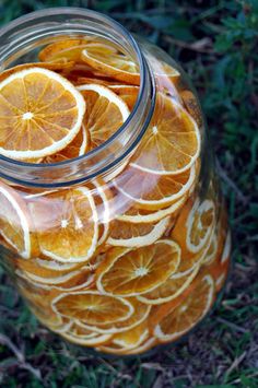 a jar filled with sliced oranges sitting in the grass